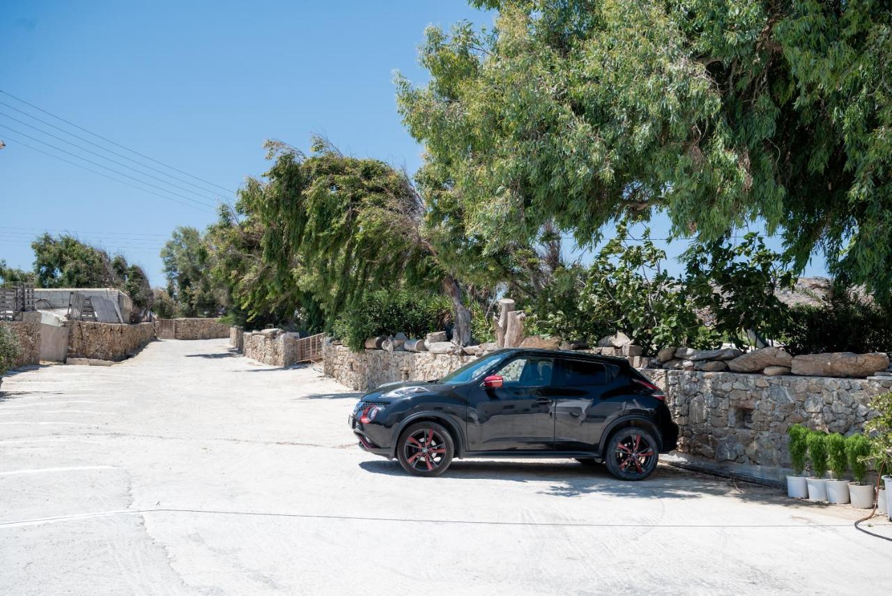 Spilia & Mykonos Agrari (Mykonos)